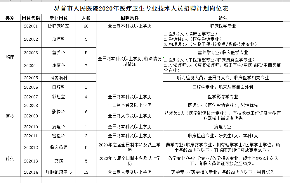 2020年阜陽界首市人民醫(yī)院醫(yī)療衛(wèi)生專業(yè)技術(shù)人員招聘計(jì)劃崗位表